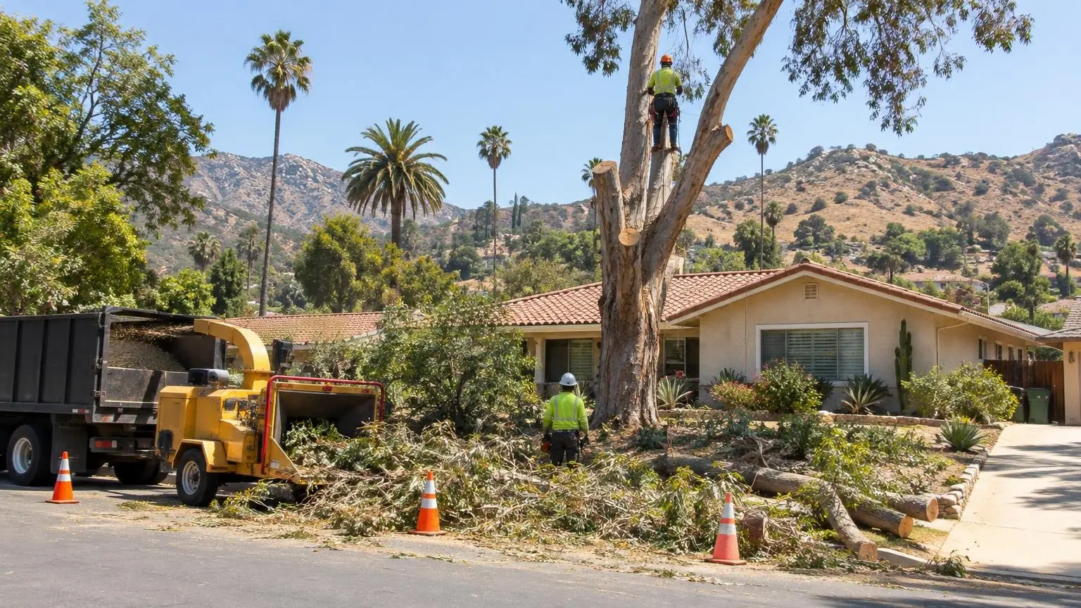 Tree Removal in Escondido, CA